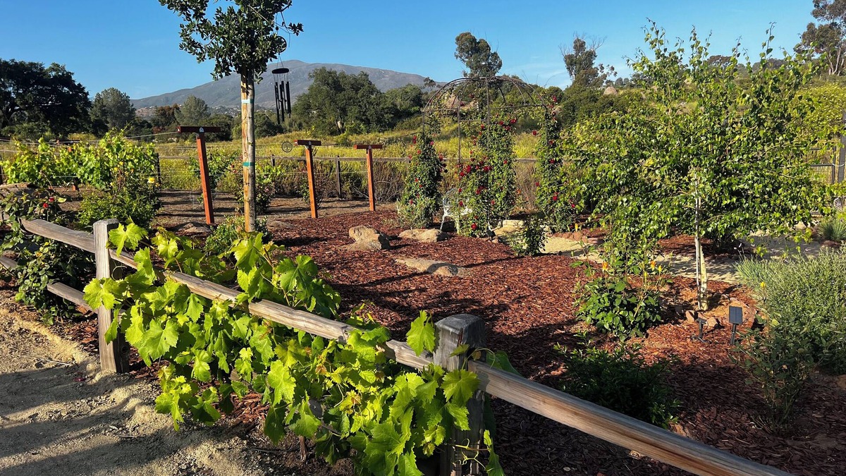 Alpine House | Oak Haven Garden Oasis