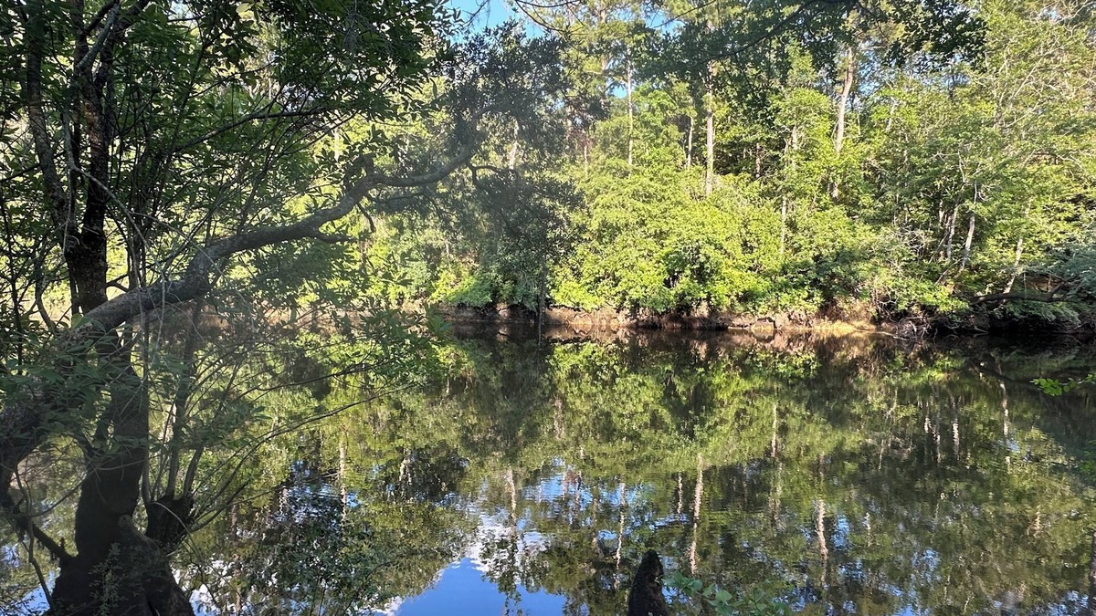Reidsville House | Oak Pine River House- Ohoopee River