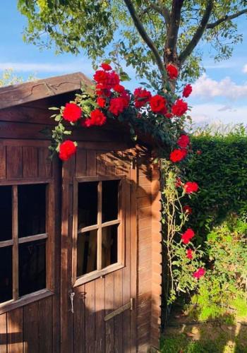 Nola House | Oasi di benessere nei vostri viaggi