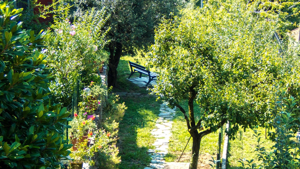 Velva Bed & Breakfast | Oasi Verde