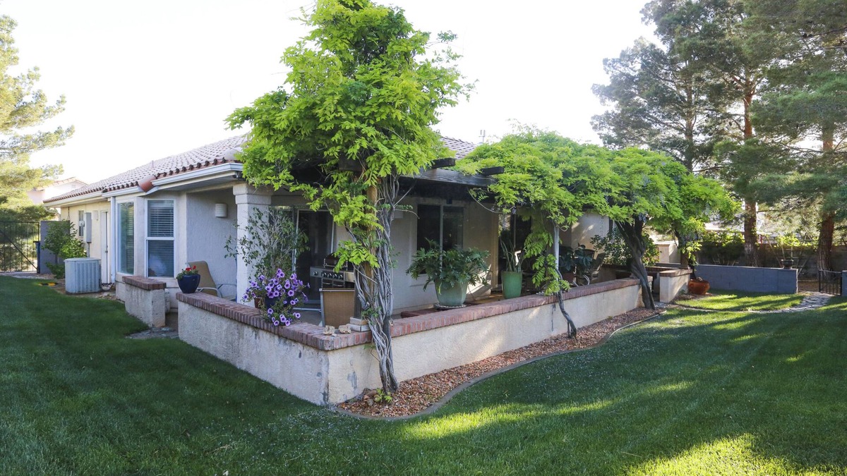 Page House | Oasis in the Desert