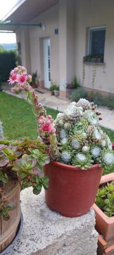 Jakovlje House | Oaza mira i tišine