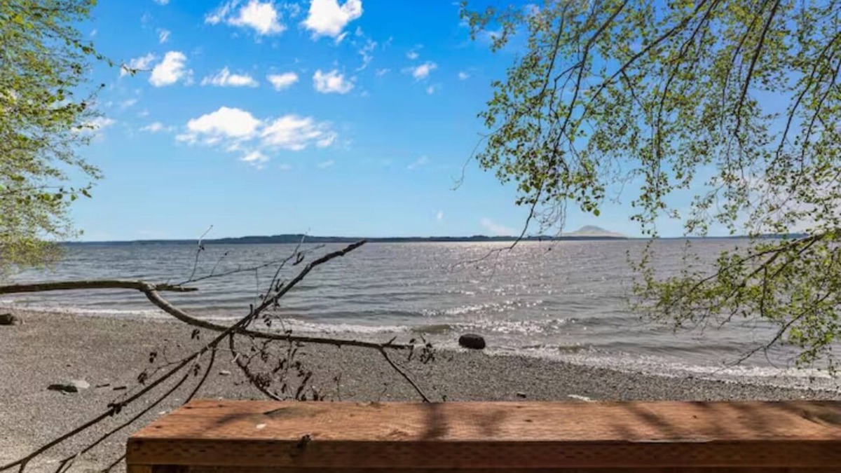 Lakebay Cottage | Oberon Cottage - Privacy, beach access, Mt Rainer view and beautiful forest