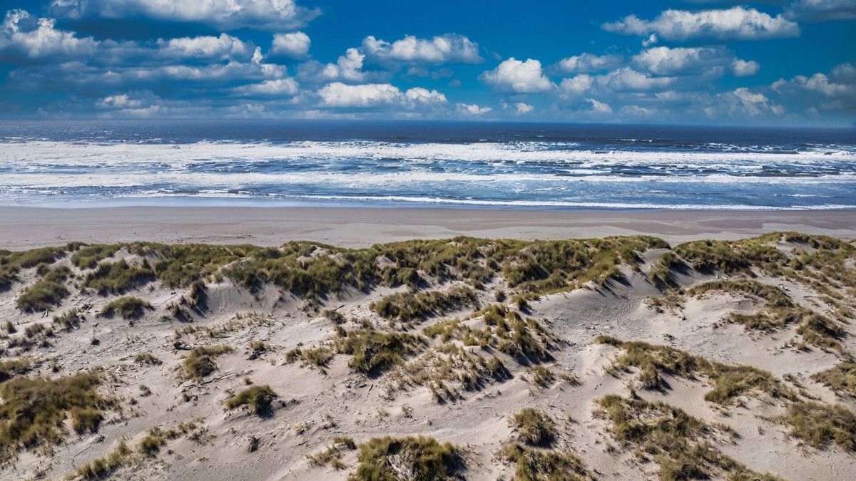 McKinleyville House | Ocean's Edge - Tropical Oceanview Oasis