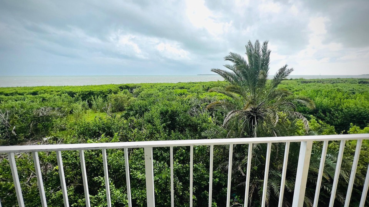 Tavernier Condo | Ocean View 1BR - Near Marine & Bird Sanctuaries