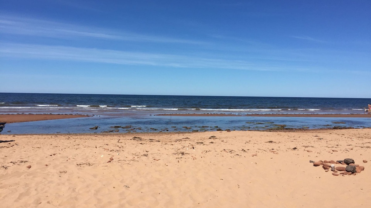 Savage Harbour Cottage | Ocean View - Cozy 1br + Den -Cute as a Button!