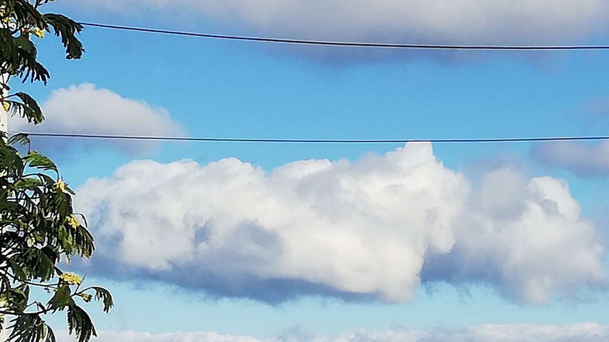 Dunedin House | Ocean View