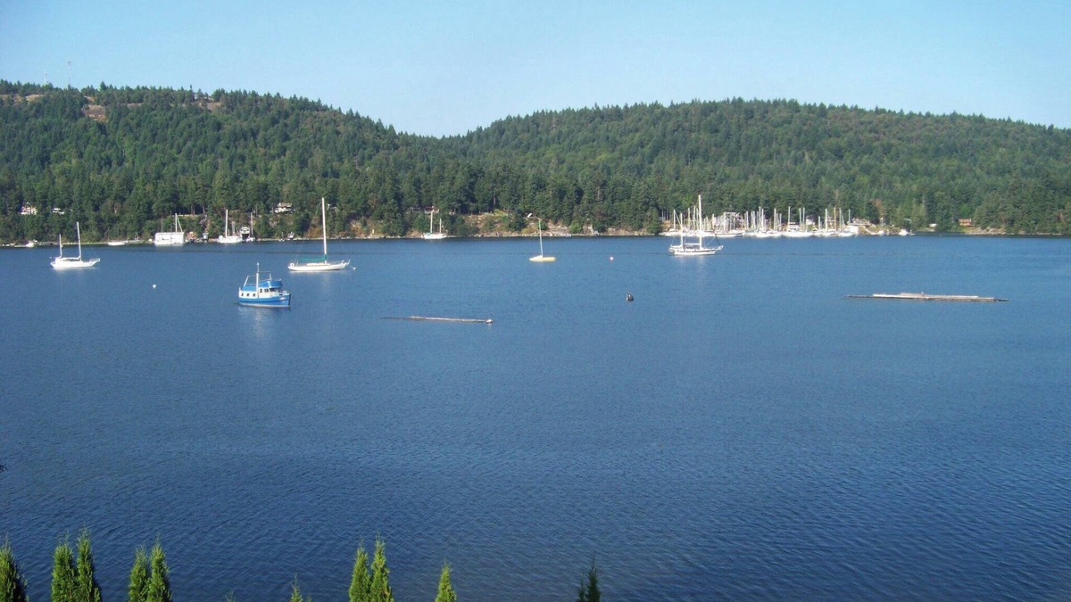 North Oyster House | Oceanfront 2 Bedroom, 1 bath home with great views.n