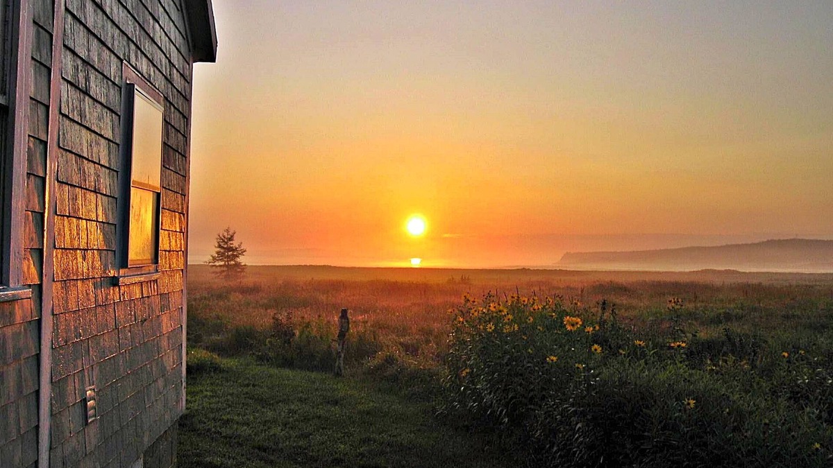Lubec House | Oceanfront Beauty ~Balcony~FirePit~Huge Deck~Wifi~A/C~Pet-Friendly~Birding~GREEN