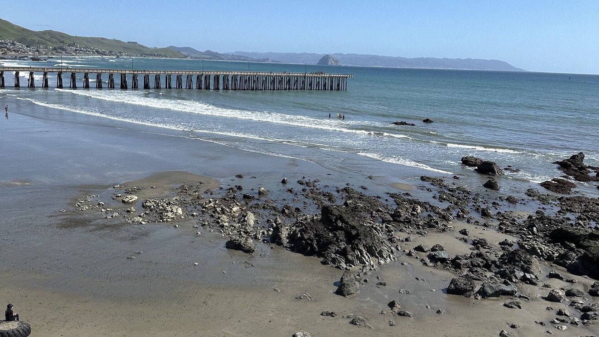 Cayucos Condo | Oceanfront condo with PRIVATE deck. Pet friendly. Just a short walk to town.