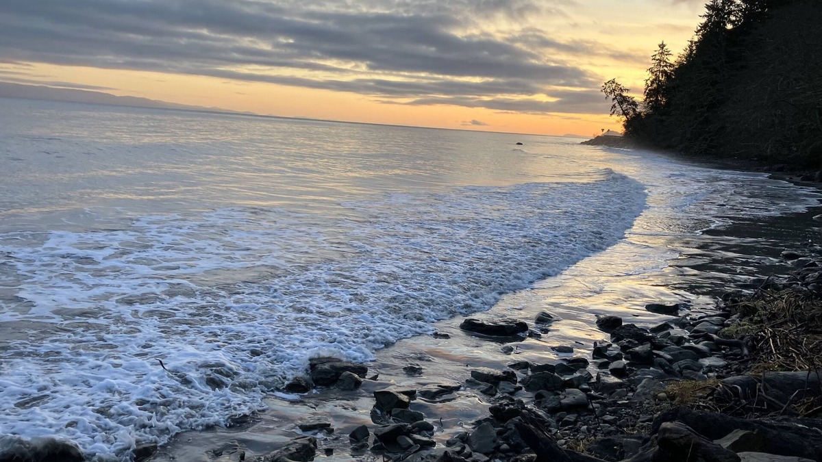 Sekiu House | OceanFront Cottage, Beachwander for miles &/or explore the Olympic National Park