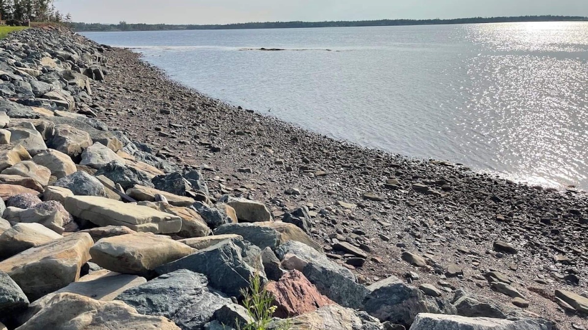 Tatamagouche Cottage | Oceanfront Cozy 2 bed Cottage in Brule Shore, pet friendly, firepit,