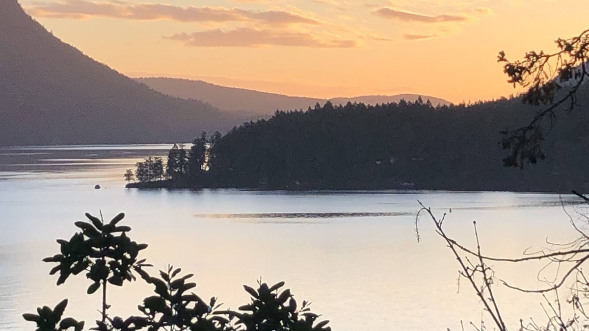 Maple Bay Apartment | Oceanfront Suite with Hot Tub