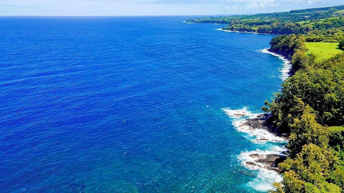 Hakalau House | Oceanfront "Treehouse" at Hakalau cliffs