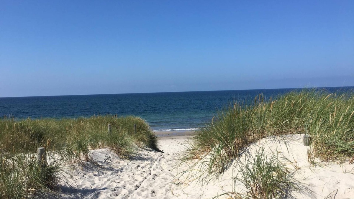 Gelbensande Apartment | *öddeker, Lidia und Dieter GM 69137 - Holiday apartment in the coastal forest - Baltic Sea SNR: