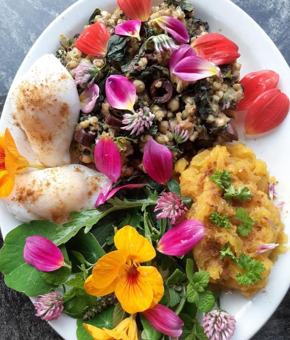 Ucluelet House | Off grid tiny home: the Seer tree house Medicine Farm