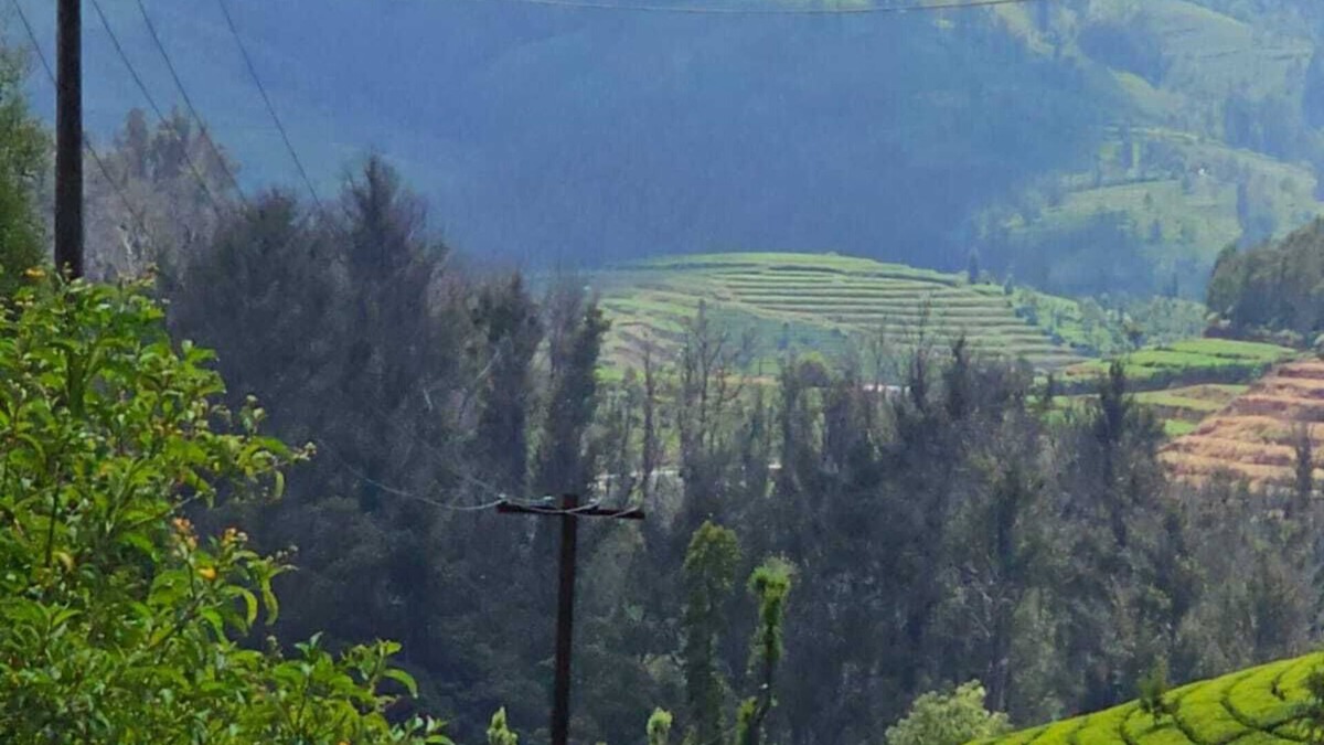 Kandal Villa | Offbeat Luxury Villa