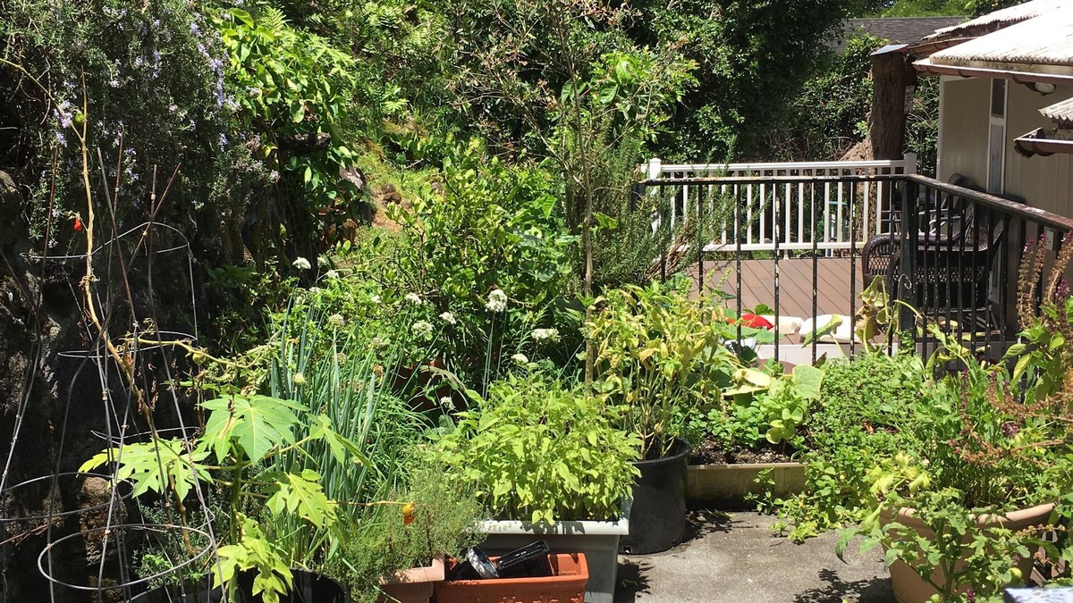 Kalihi Valley House | Ohana Home TA-174-591-3856-01 TMK 140010570000