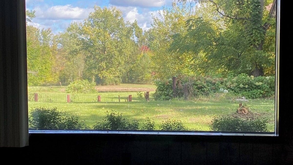 East Leroy House | Okon's Underground Rental Battle Creek scenic venue pond/river 70's wildlife
