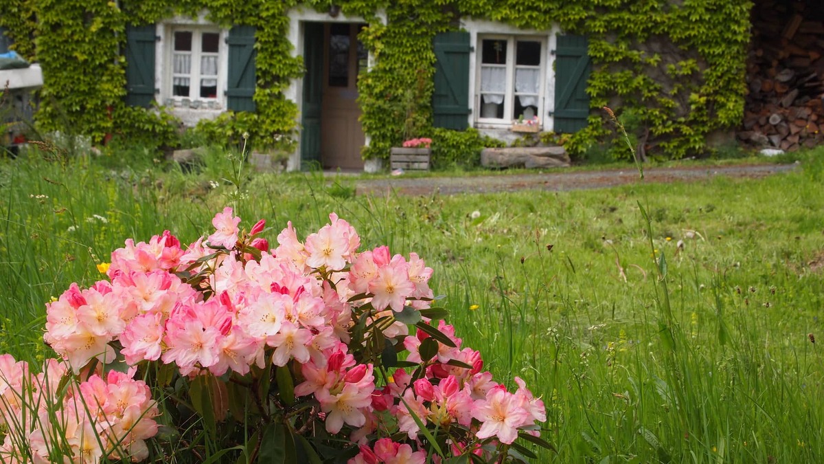 Bertignat Other | OLD FARM IN BIG PEACE