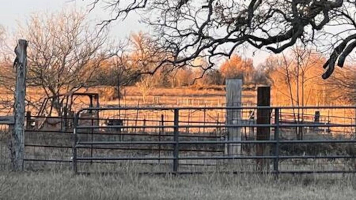 Cameron Cabin | Old Oak Ranch Texas Home