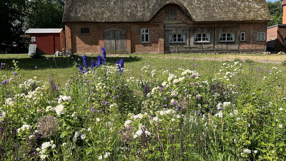 Bad Kleinen Other | Old thatched coach house for up to 5 people.