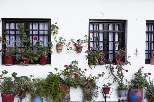 Hondarribia Historic Center Apartment | Olerki by Smiling Rentals