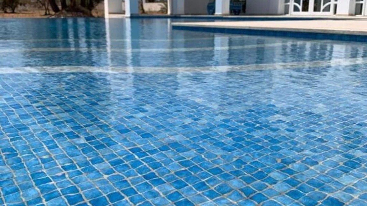 Midoun Villa | Olive house .Unique villa with large infinity pool and cinema room