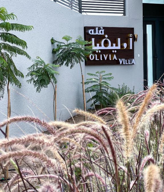 Sayq Ski Chalet | Olivia Chalet فلة أوليفيا