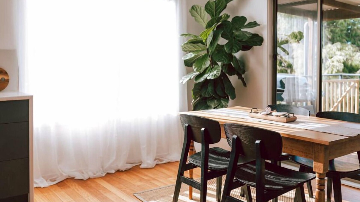 Scamander House | Omaru Beach House Scamander - Pet Friendly