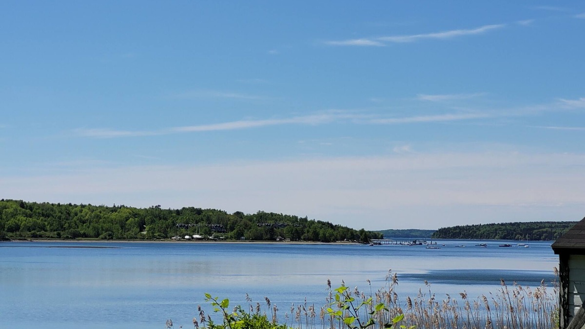 Stockton Springs Cabin | On Mill Cove. Close to Acadia, restaurants, kayaking, hiking trails.