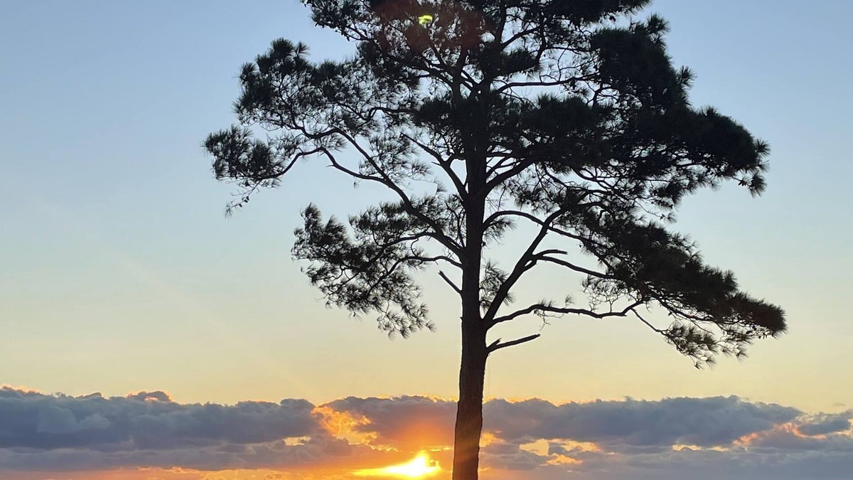 Barco House | On the Currituck Sound