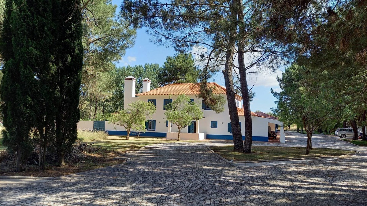 Alcacer do Sal Apartment | One-Bedroom Apartment