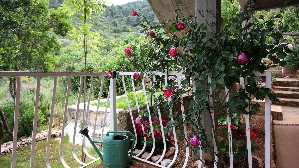 Prozurska Luka Apartment | One bedroom apartment near beach Prožurska Luka, Mljet (A-4940-a)
