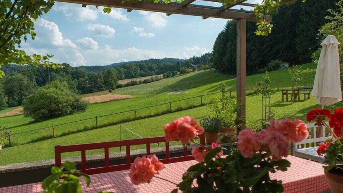 Nussdorf am Attersee House | One-bedroom apartment