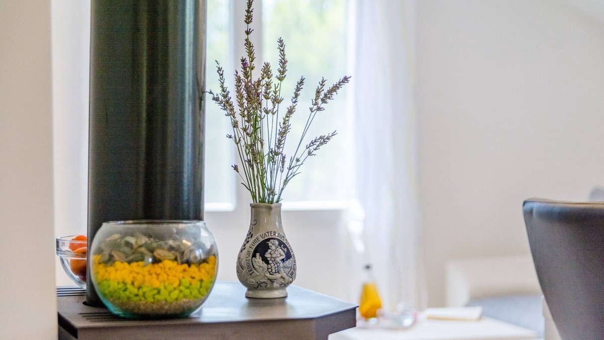 Cove Osibova (Milna) Apartment | One bedroom apartment with terrace Milna, Brač (A-11088-b)