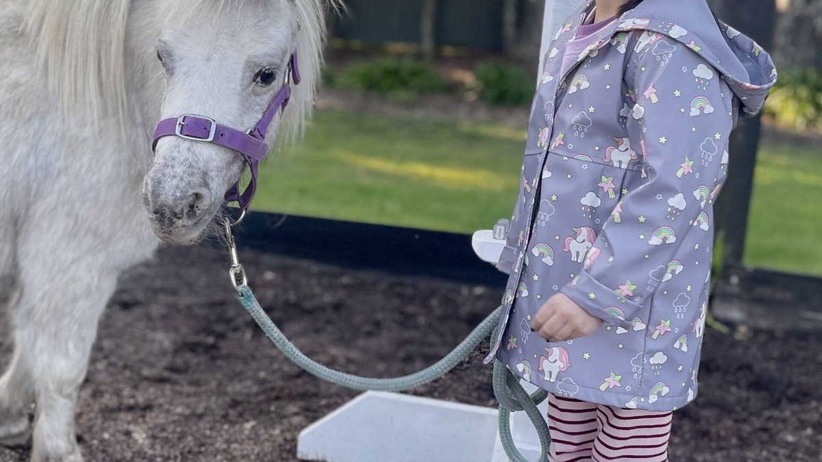 Tyabb Cottage | One of a kind - FarmStay 'Maple Cottage' on Melbournes' Mornington Peninsula