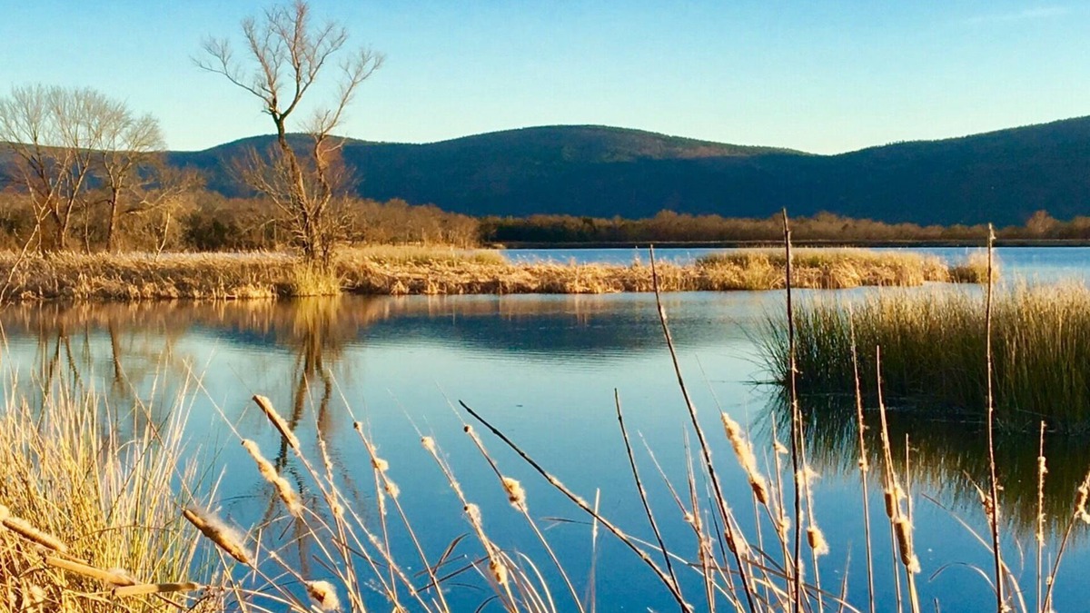 Tuskahoma Cabin | One of the Best You’ll Find! Peace & Quiet - Comfort & Charm;