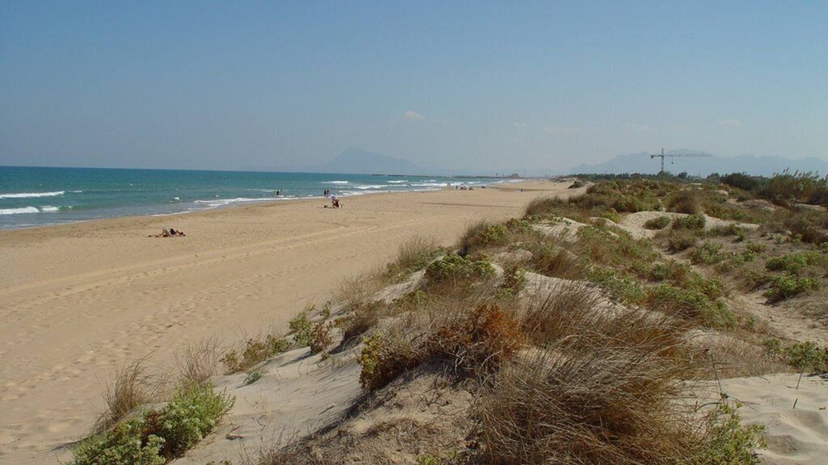 Platja de Piles Apartment | Only 20m to the dune beach, sea views, pool, betw. Oliva and Gandia seafront