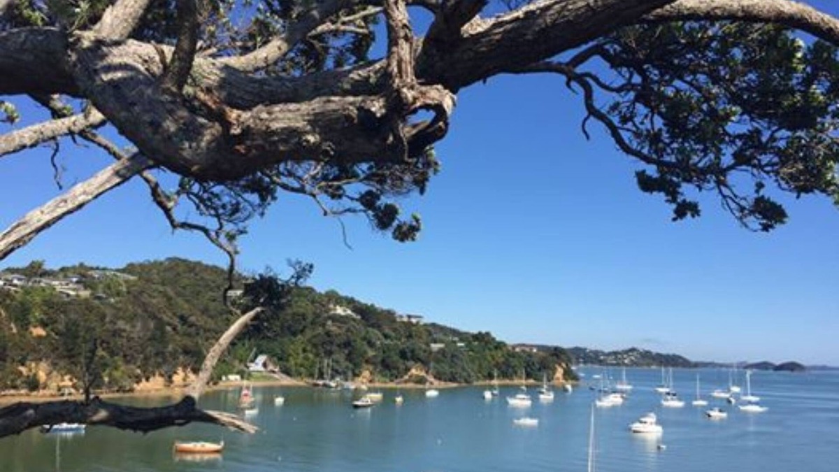 Opua Hotel | Opua Boutique Seaview Motel