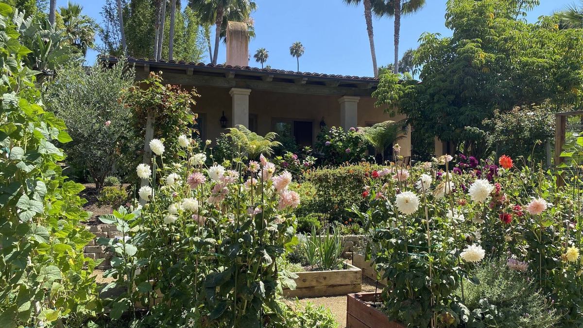 Covenant Cottage | Orange Blossom Guesthouse - in the heart of Rancho Santa Fe, CA.