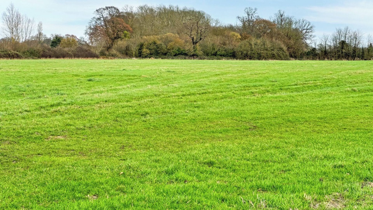 Rochford Cottage | Orchard House - UK48580