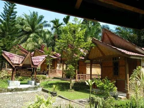 Bohorok House | Orchid Bugalows.