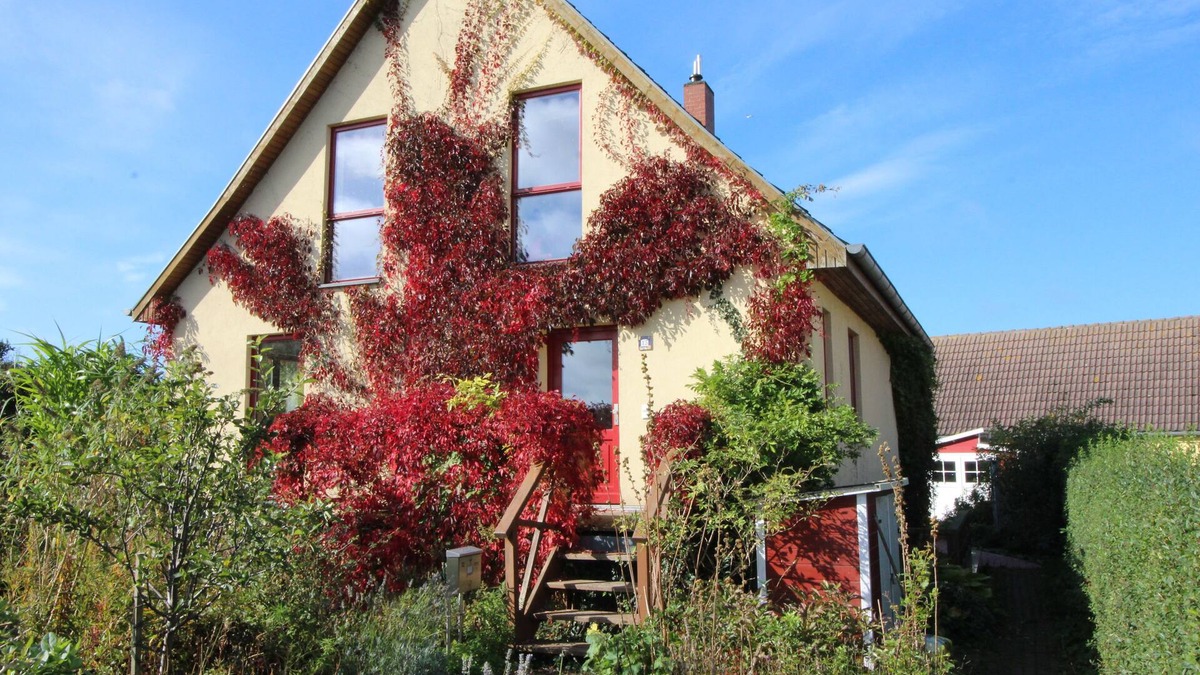 Schwarbe House | Organic vacation home, 3sleepR, 2 BathR, natural garden, sauna, WLAN, dogs allow