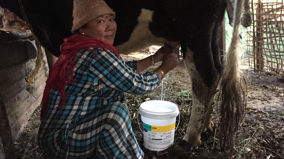 Turuk Other | Organic village life homestay , spend your vacation in peaceful environment