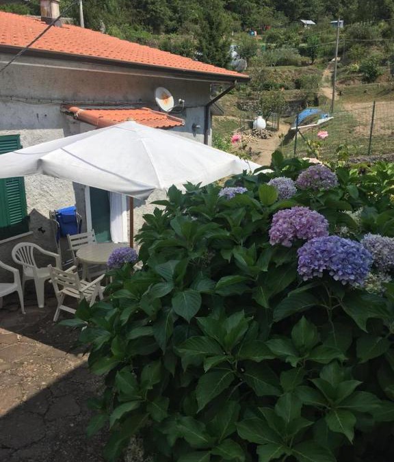 Pignone House | Ortensia