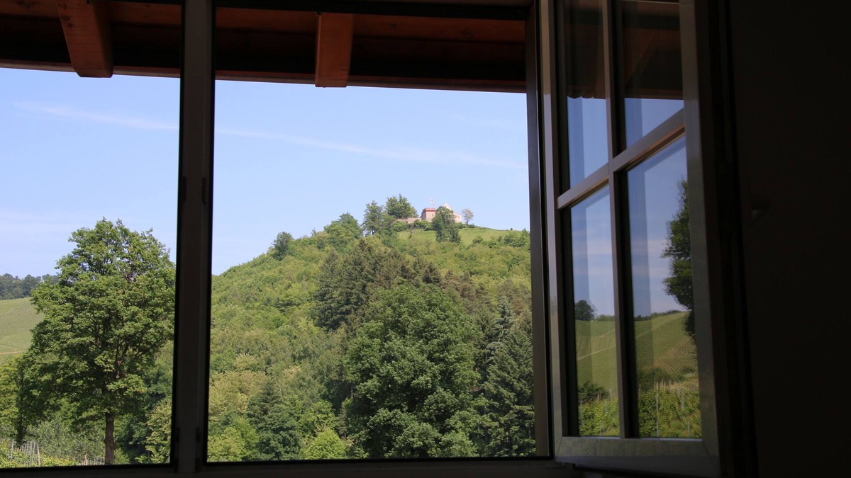 Durbach Apartment | Overnight stay in the winery Neveu - Schlossblick