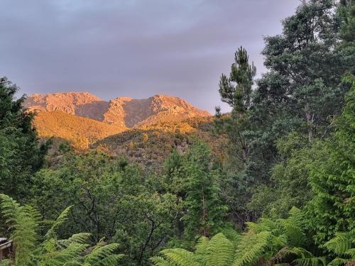 Queenstown House | Owen Cottage Queenstown Genuine Comfort and Views