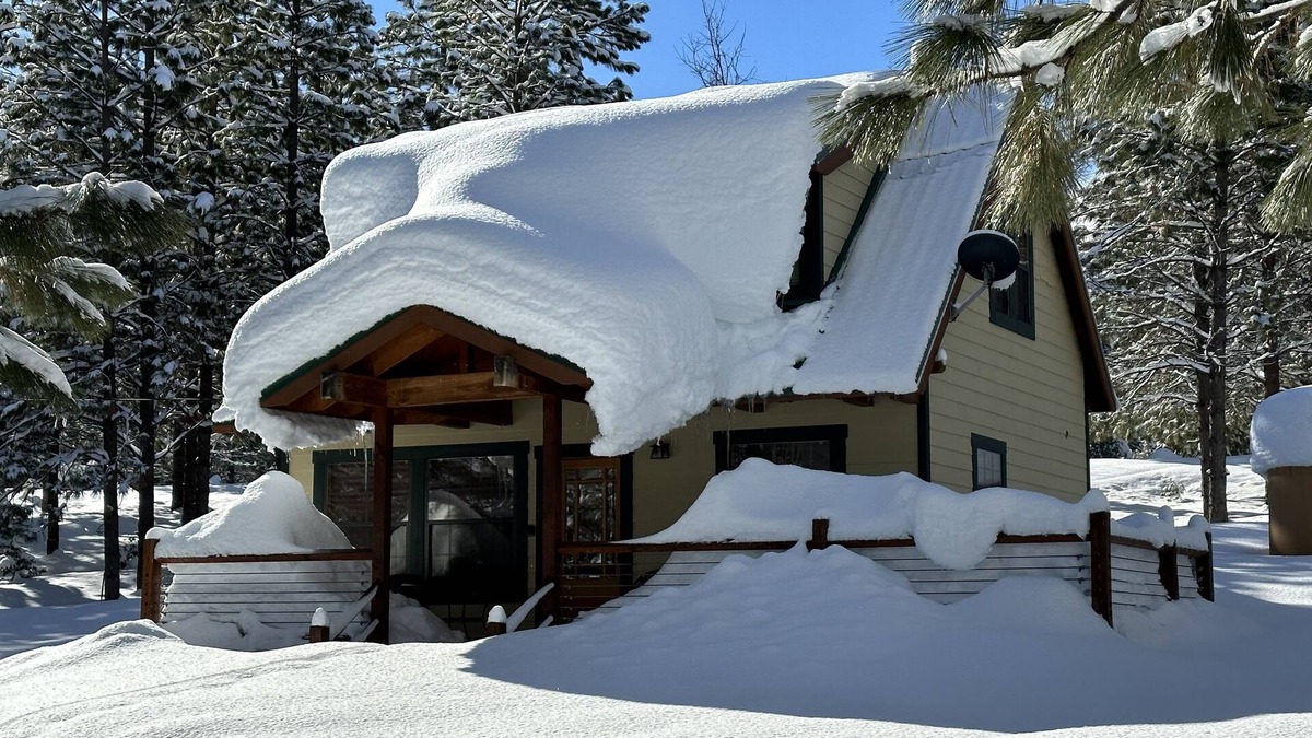 Foresta Cabin | Owl Moon Cabin - Rare jewel of a cabin located inside Yosemite National Park
