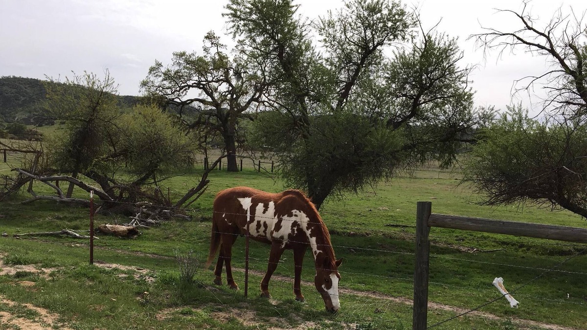 San Luis Obispo House | OYB Ranch-Beautiful Endless Views!
